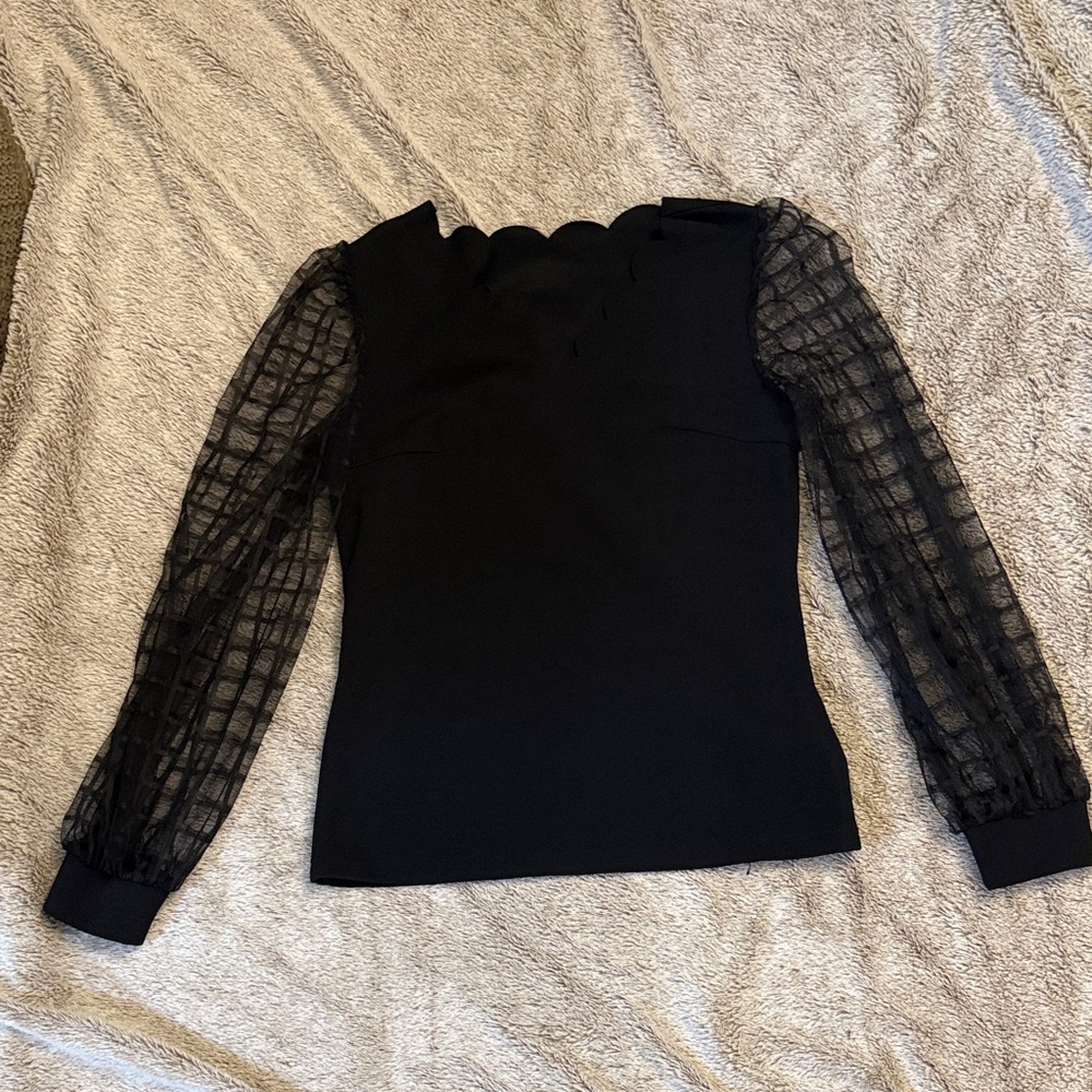 Elegant Black Top with Sheer Sleeves
